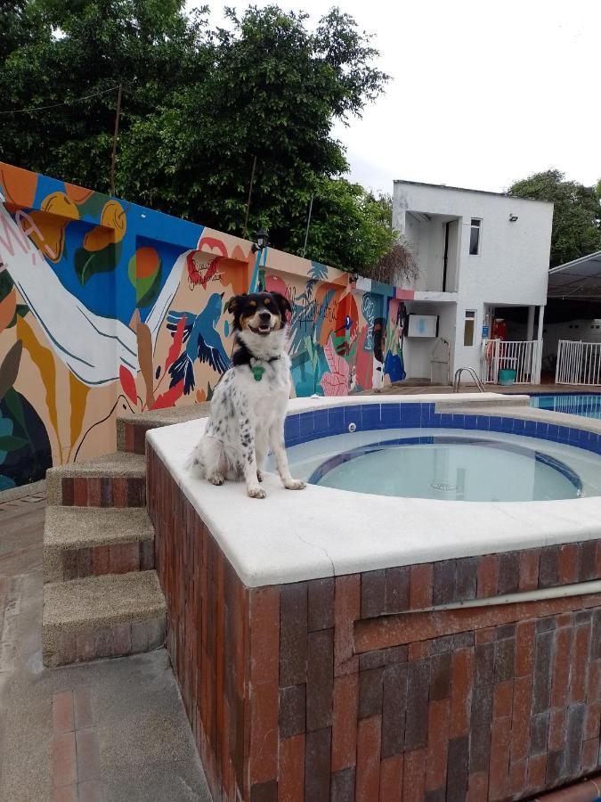 Villa Alejandra جيراردو المظهر الخارجي الصورة